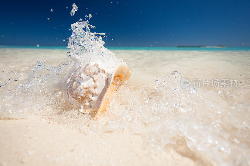 海水溅起海滩上的贝壳