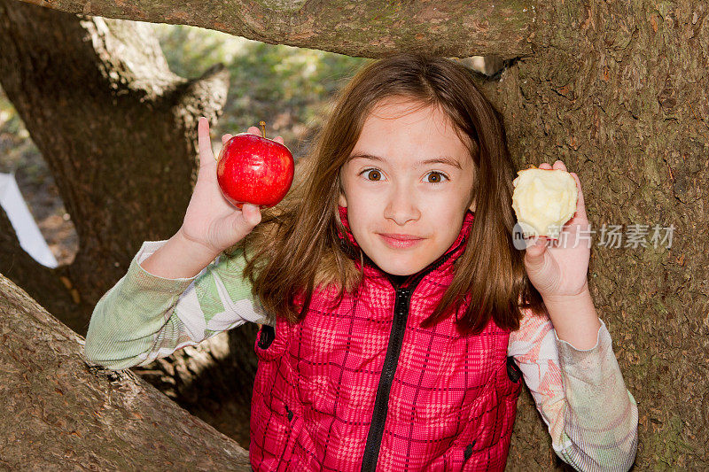小女孩爬上树，看着相机，拿着苹果。