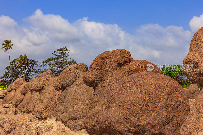 Mahabalipuram，印度-花岗岩牛;风沙侵蚀