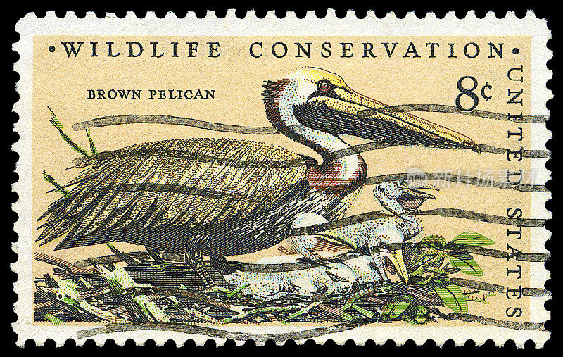 野生动物保护褐鹈鹕邮票