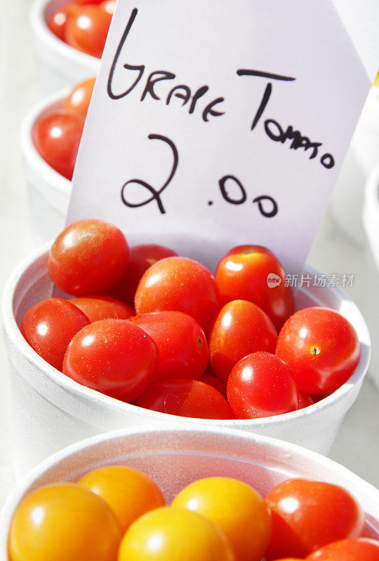 葡萄番茄出售