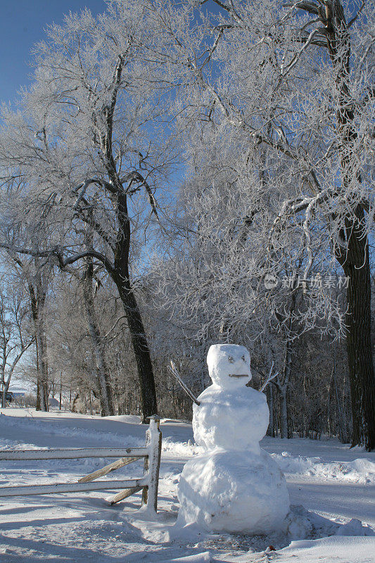 雪人