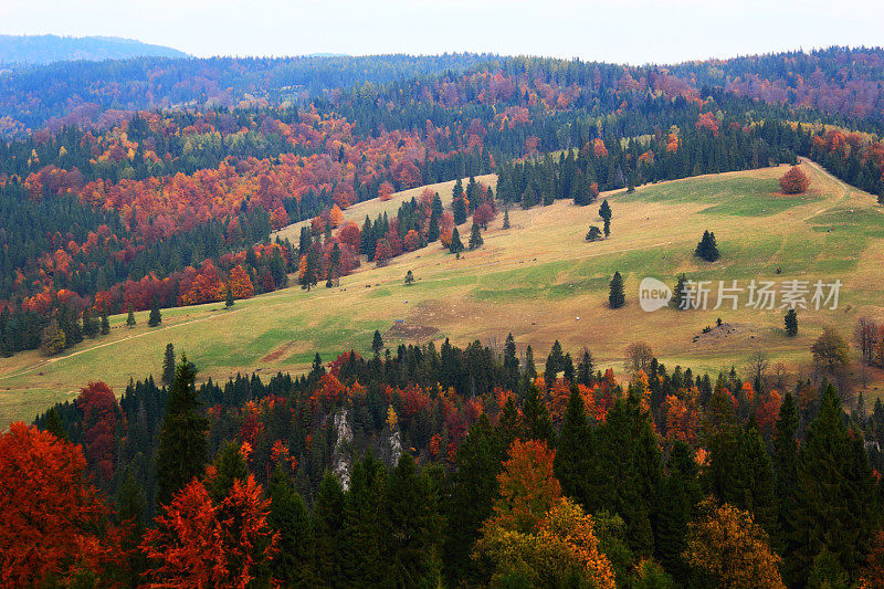 秋天在山脉。Pieniny,波兰。