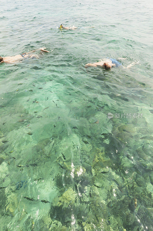 年轻男子在玛雅湾附近浮潜