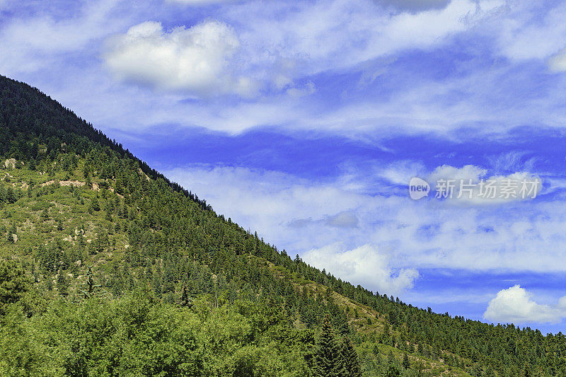 科罗拉多的风景，在蓝天的映衬下，有小山和树木