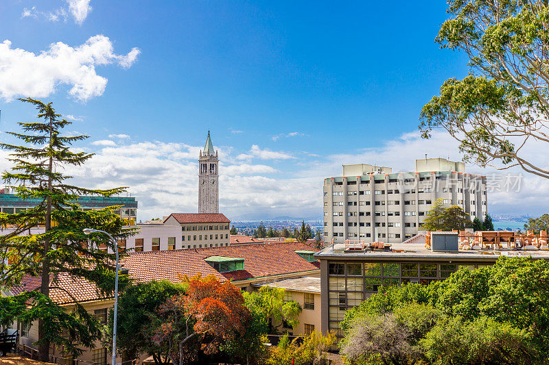 加州大学伯克利分校