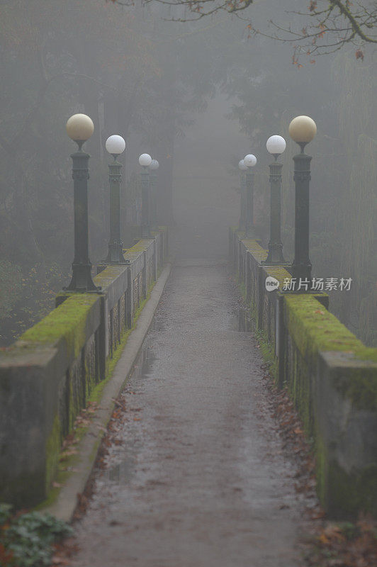 在晨雾中，人行天桥上长满了青苔