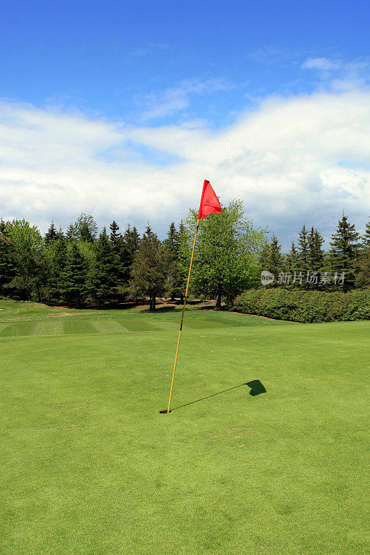 高尔夫球场，果岭和旗帜