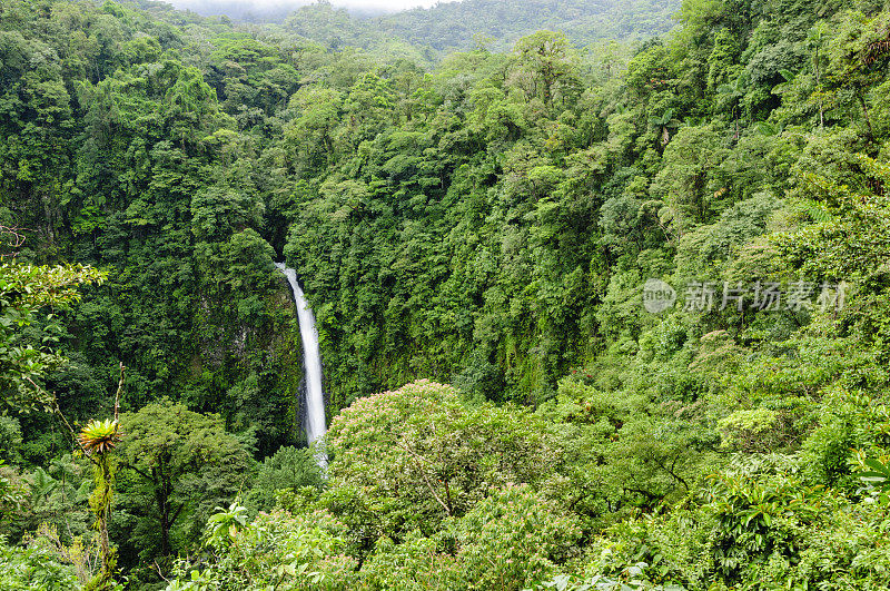 热带雨林中的瀑布