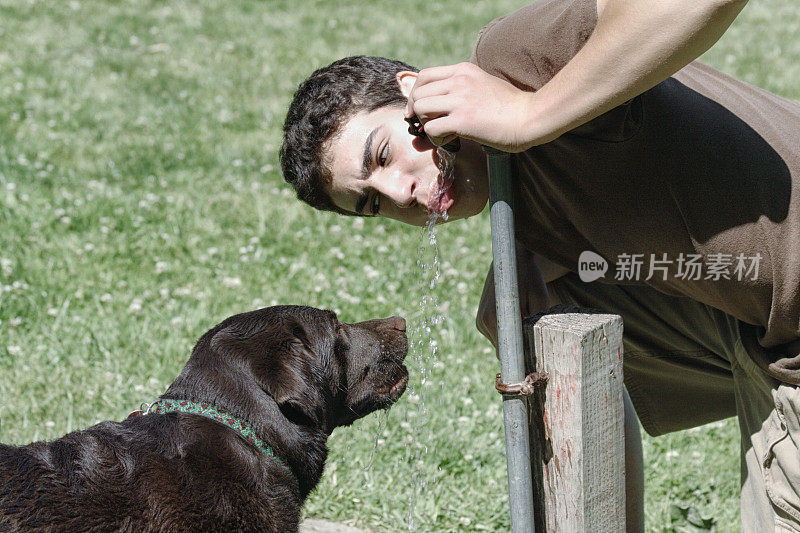 男孩和宠物狗分享户外饮水喷泉饮料