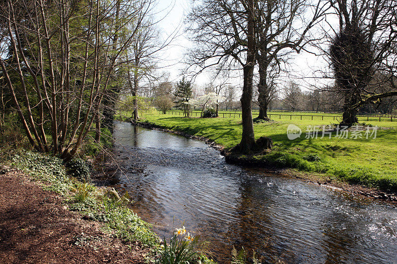 爱尔兰，一个农场里流淌的小溪