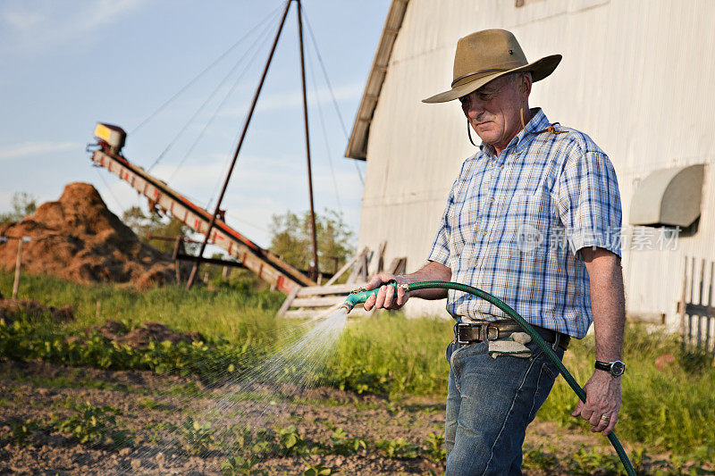 老农民在给他的菜园浇水