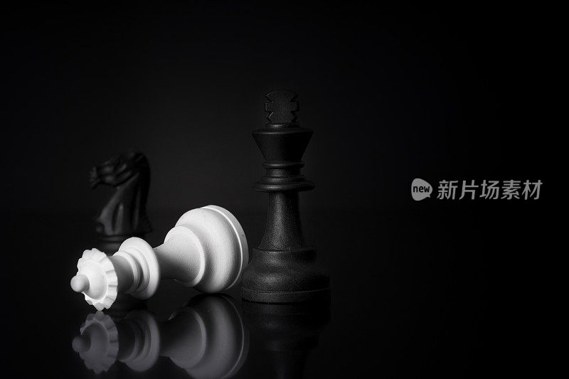 国际象棋王了