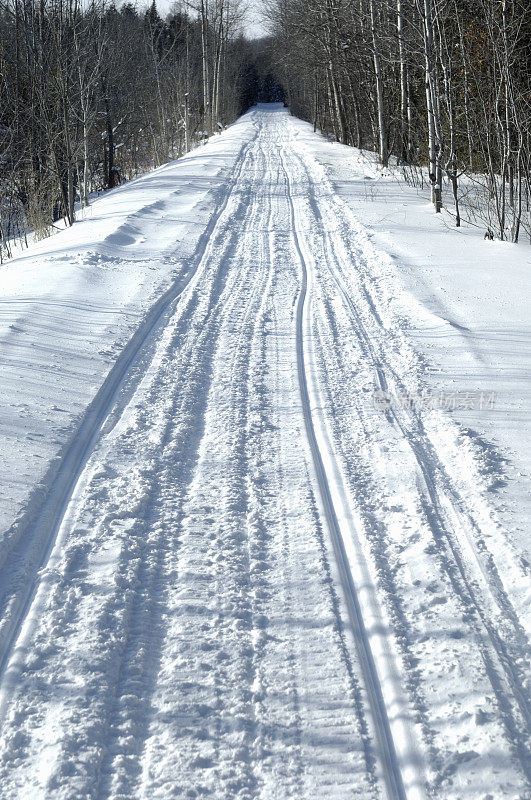 雪地跟踪