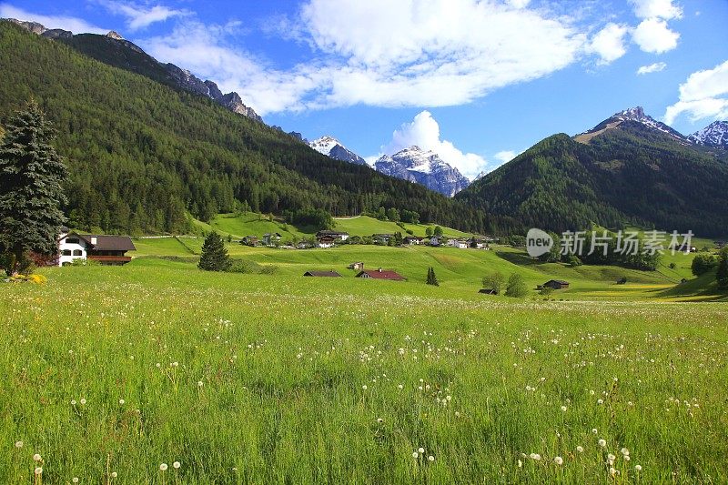 阿尔卑斯山附近的景观Neustift在斯图拜特雄伟的斯图拜山谷，戏剧性的蒂罗尔雪山全景和田园诗般的蒂罗尔草原，奥地利