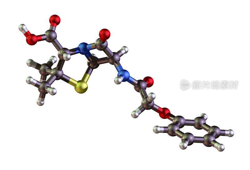 青霉素模型