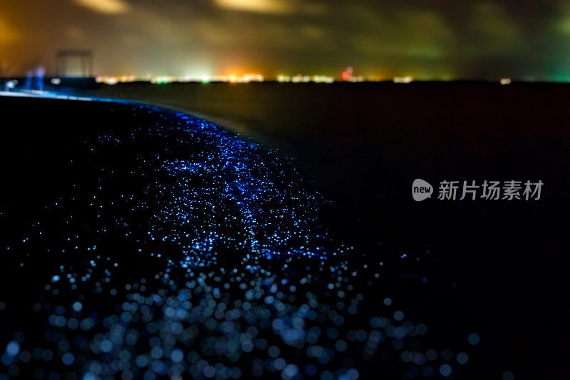 生物发光。马尔代夫浮游生物的照明。