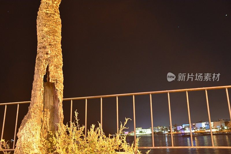 夜晚的伊比沙城