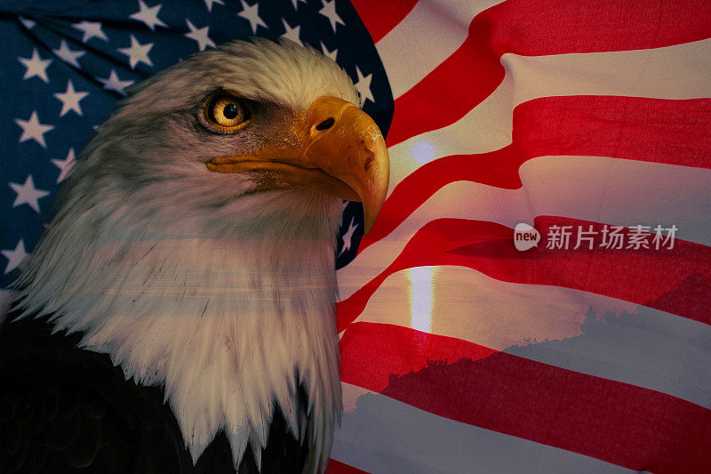 有美国鹰和阳光的美国国旗