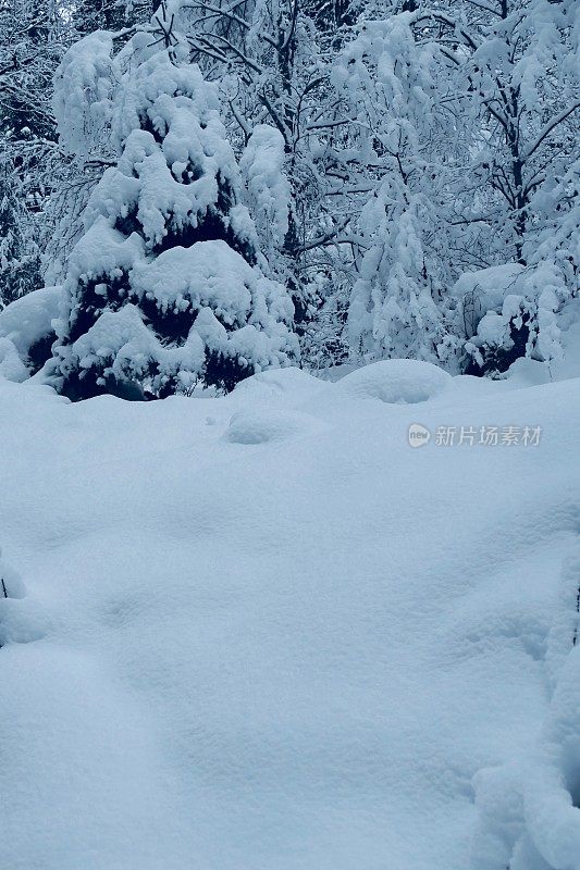 在欧洲阿尔卑斯山脉，冰雪覆盖的冬季景观和森林