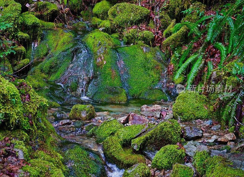 蛋白石溪保护绿色