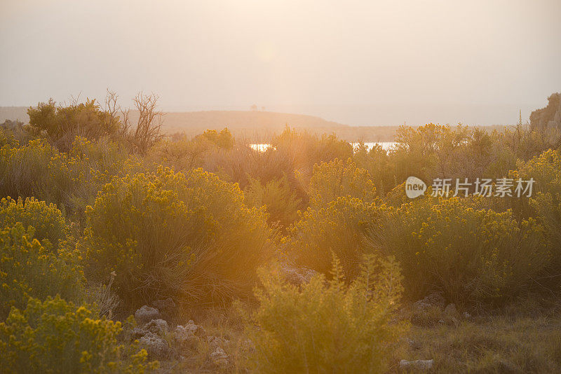 加州莫诺湖南凝灰岩沙漠景观日落