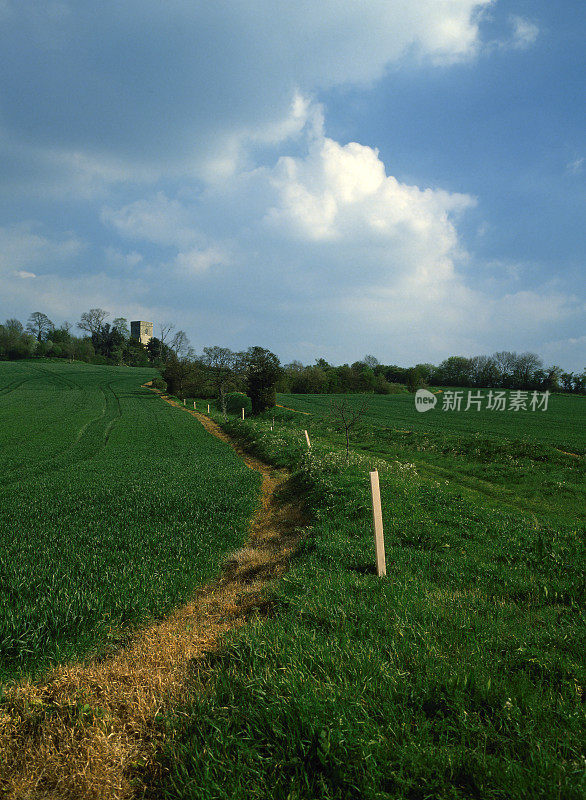 从小路上望去，穿过典型的英国乡村风景——绿树成荫的田园风光——在阳光明媚的日子里徒步行走风景郁郁葱葱