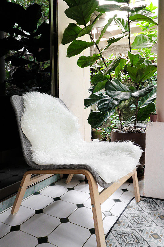 舒适的椅子上有白色的羊皮，复古的地毯和小提琴叶无花果树在花盆里。