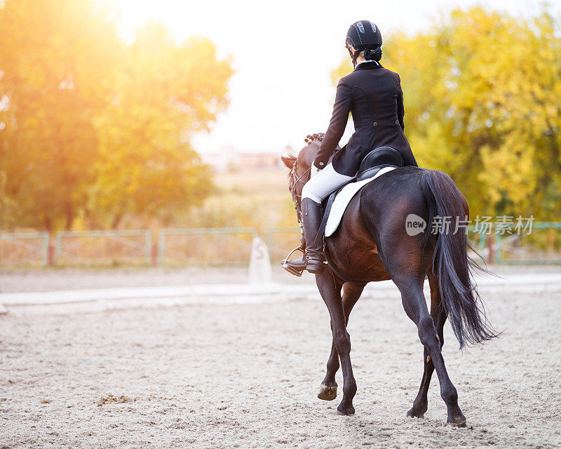 年轻女骑手骑着栗色马的后视图