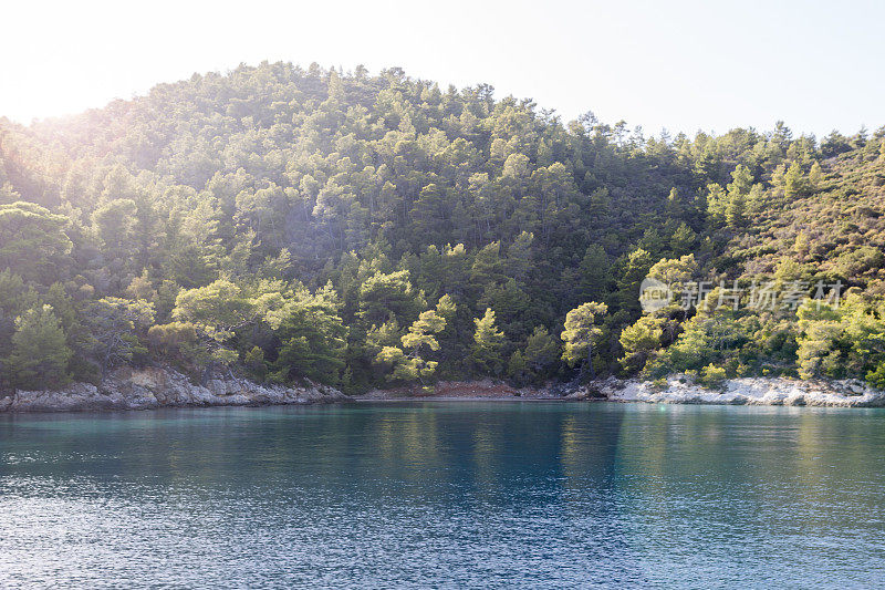 博德拉姆格拉土耳其的爱琴海戈科娃湾山上的松树