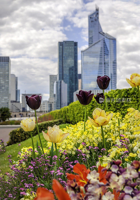 法国巴黎，花后的拉德芳斯春景