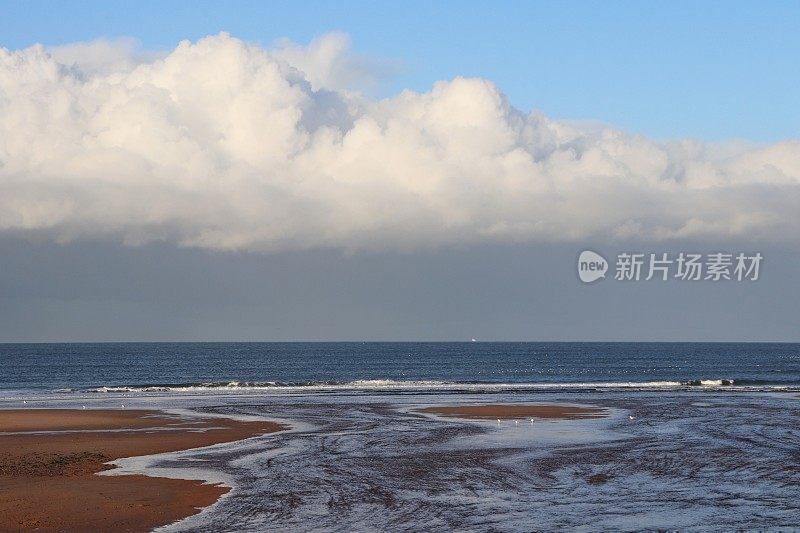 海面和海岸线上的云朵和海鸥