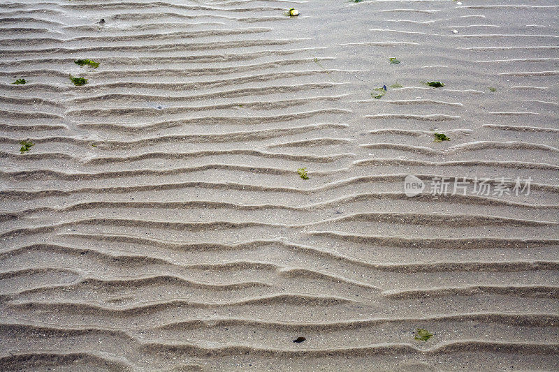 退潮时，海滩上的沙子和水里泛起了涟漪