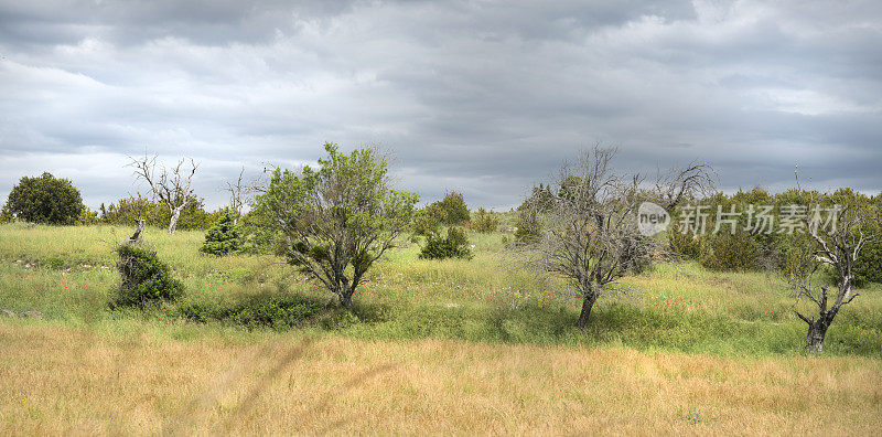 Provençal风景，法国南部