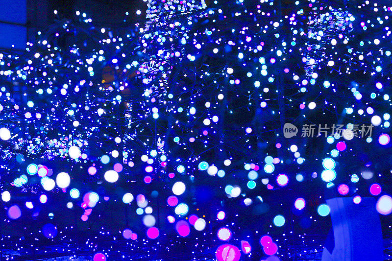 日本圣诞照明-蓝色LED