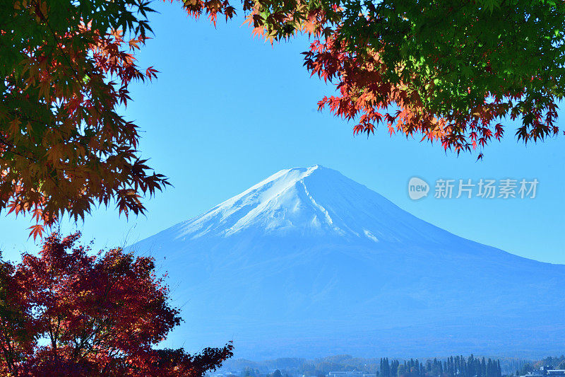 日本富士五湖地区的富士山和秋叶