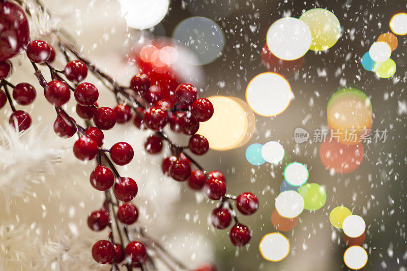 圣诞红莓枝装饰