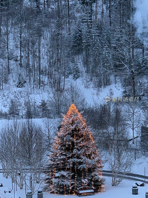 灯火通明的户外圣诞树，白雪覆盖