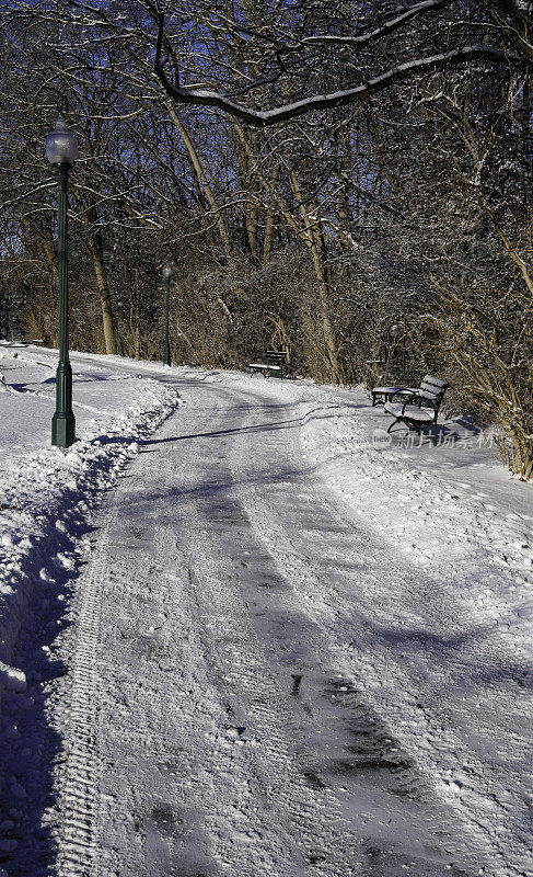 密歇根州罗彻斯特的冬日仙境