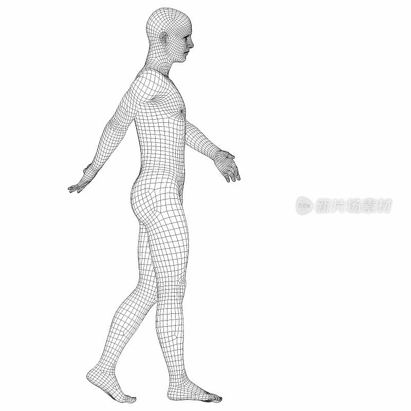 行走线框男性半机械人的3D渲染。