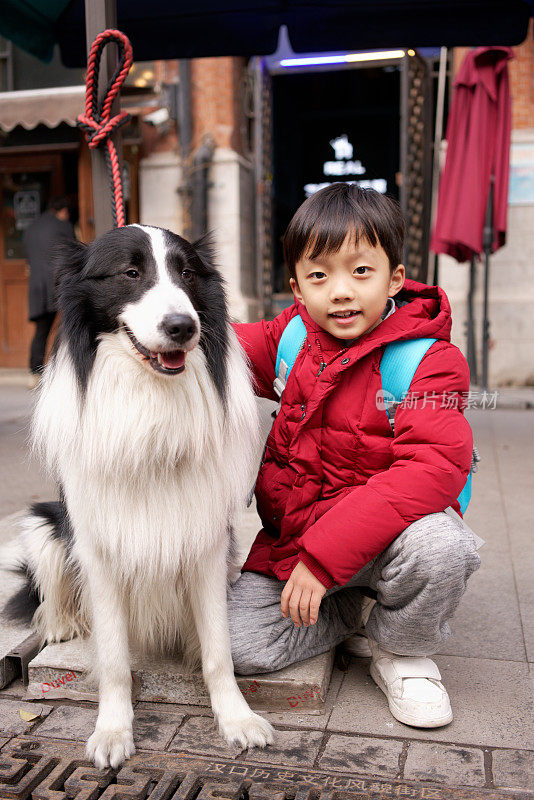 小男孩和博德牧羊犬