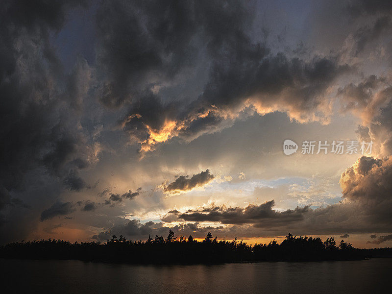 雷声细胞日落