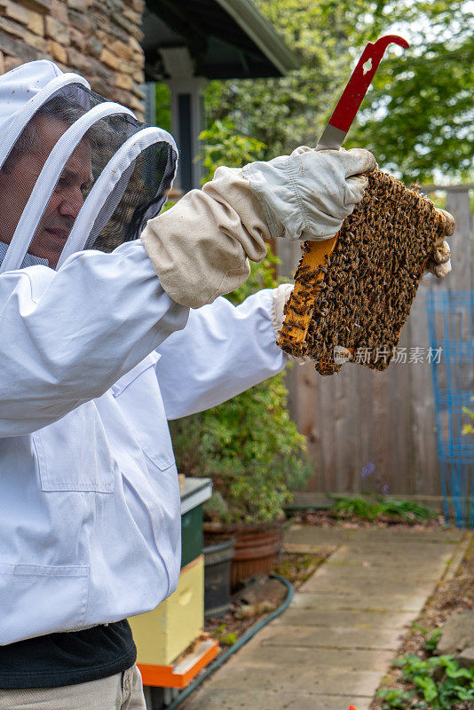 养蜂人检查框架