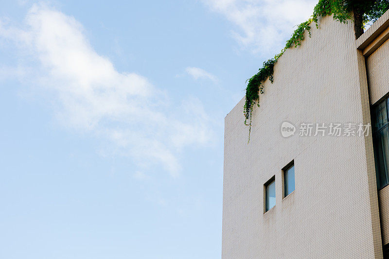 蓝天下的建筑立面