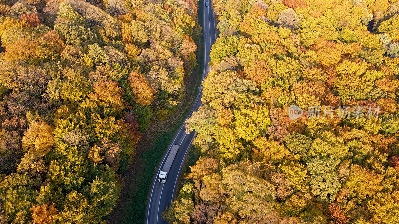 高速公路上的卡车驶过森林景观