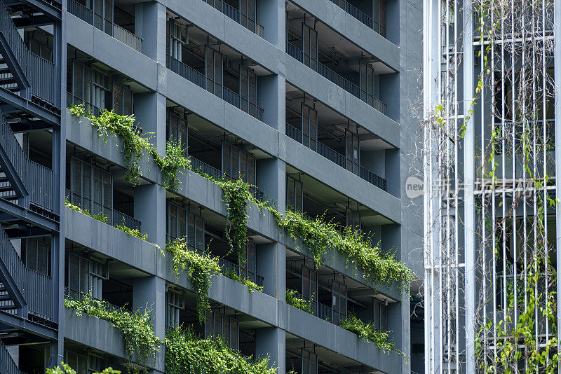 外部不确定的现代建筑立面与绿色垂直花园走廊上可持续建筑商业设计理念。