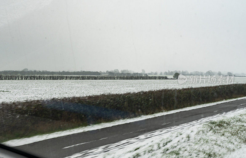 剑桥郡从亨廷顿到剑桥的路上，树上有雪