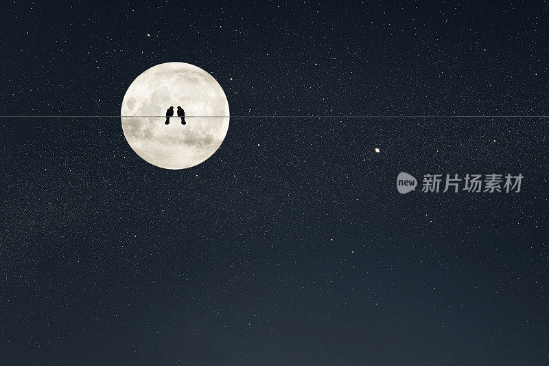 两只鸟在一根电线或电线上，夜空中有巨大的月亮背景。恋爱浪漫概念