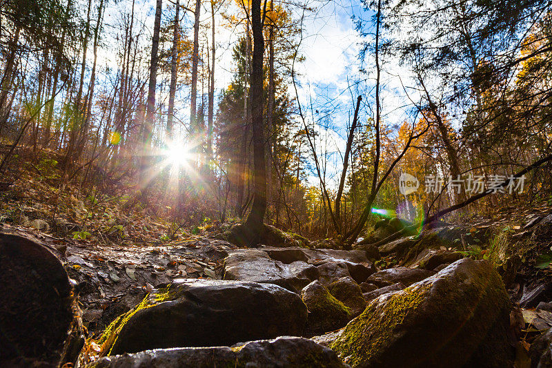 阳光穿过树木，洒在岩石上，小溪里长满了苔藓。秋天的风景。乌拉尔国家公园的自然风光。