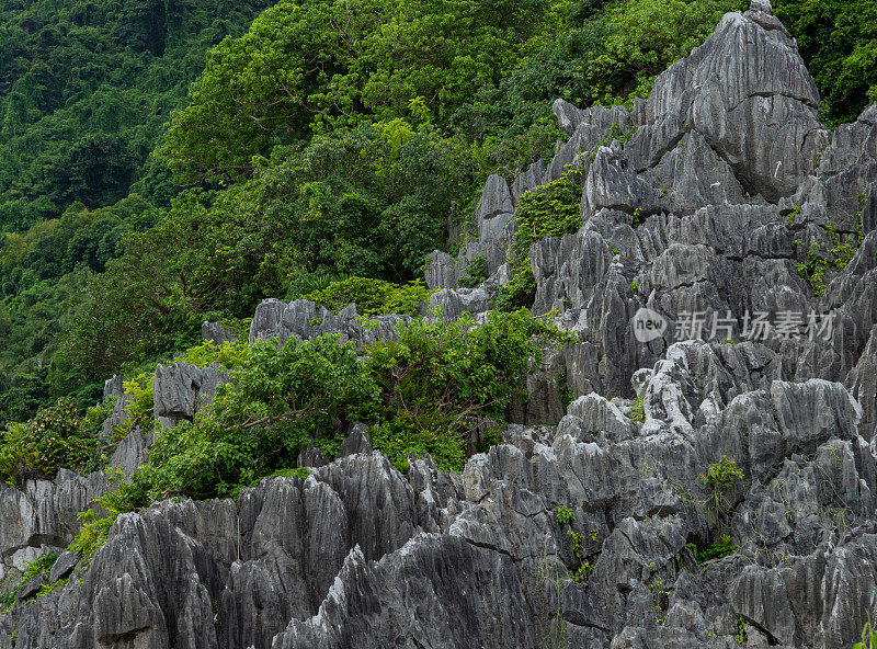 风景石灰岩山脉和杂草丛生的树木，恩赫岛，坚江省